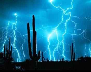 Saguaro in Lightning at Night