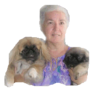 Yolanda with her show Pekingese puppies