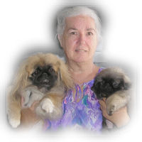 Yolanda With Pekingese Pets